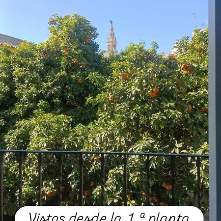Apartamentos En La Plaza Dona Elvira, 7 Seville Exterior photo