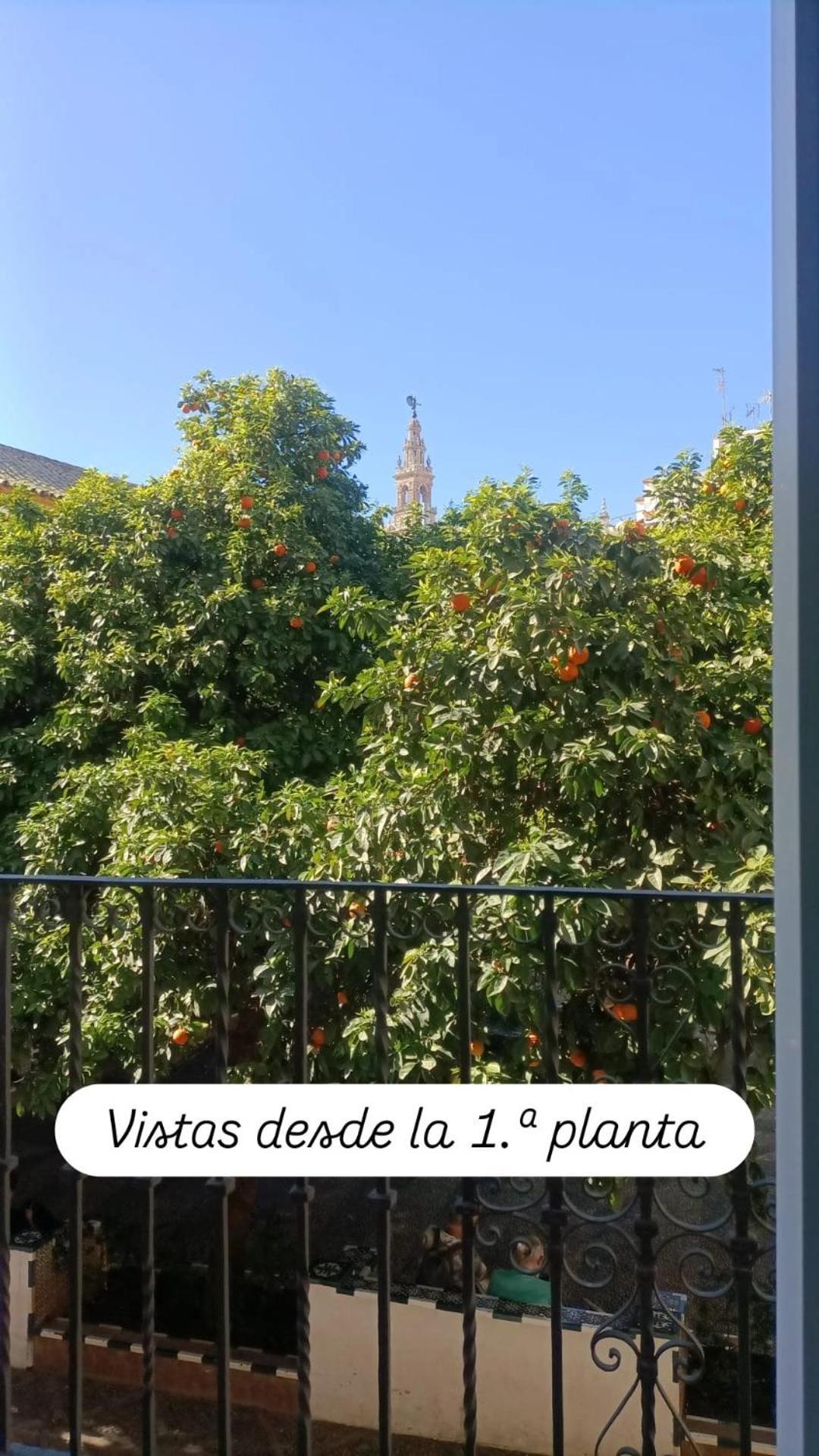 Apartamentos En La Plaza Dona Elvira, 7 Seville Exterior photo