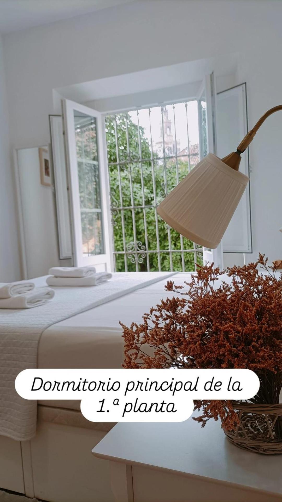 Apartamentos En La Plaza Dona Elvira, 7 Seville Exterior photo